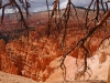 Bryce Canyon