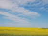 Alberta