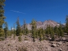 Lassen Park