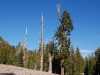Lassen Park