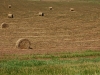 Lungo la strada