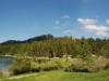 Black Hill National Forest