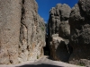 Black Hill National Forest