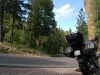Black Hill National Forest