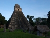 Tikal