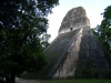 Tikal